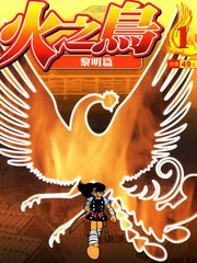 火之鸟漫画 12已完结 火鸟在线漫画 漫画人